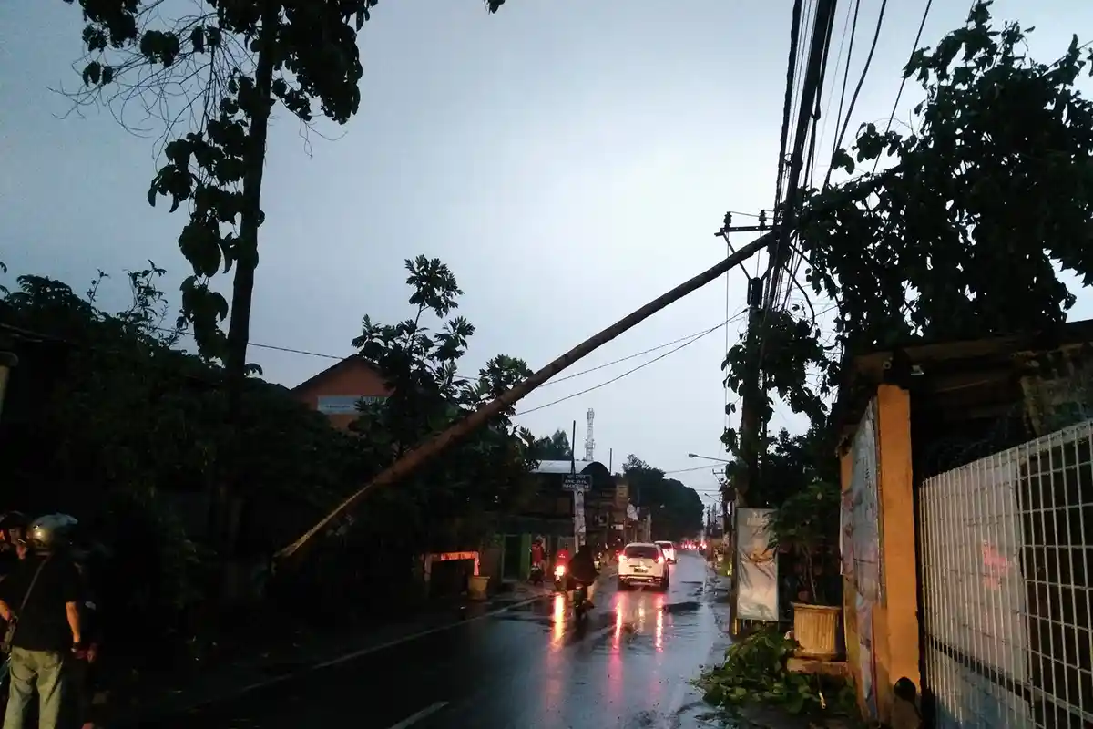 Pohon Tumbang di Jalan Cingised Dievakuasi, Jalan Ditutup Sementara, Listrik Masih Padam