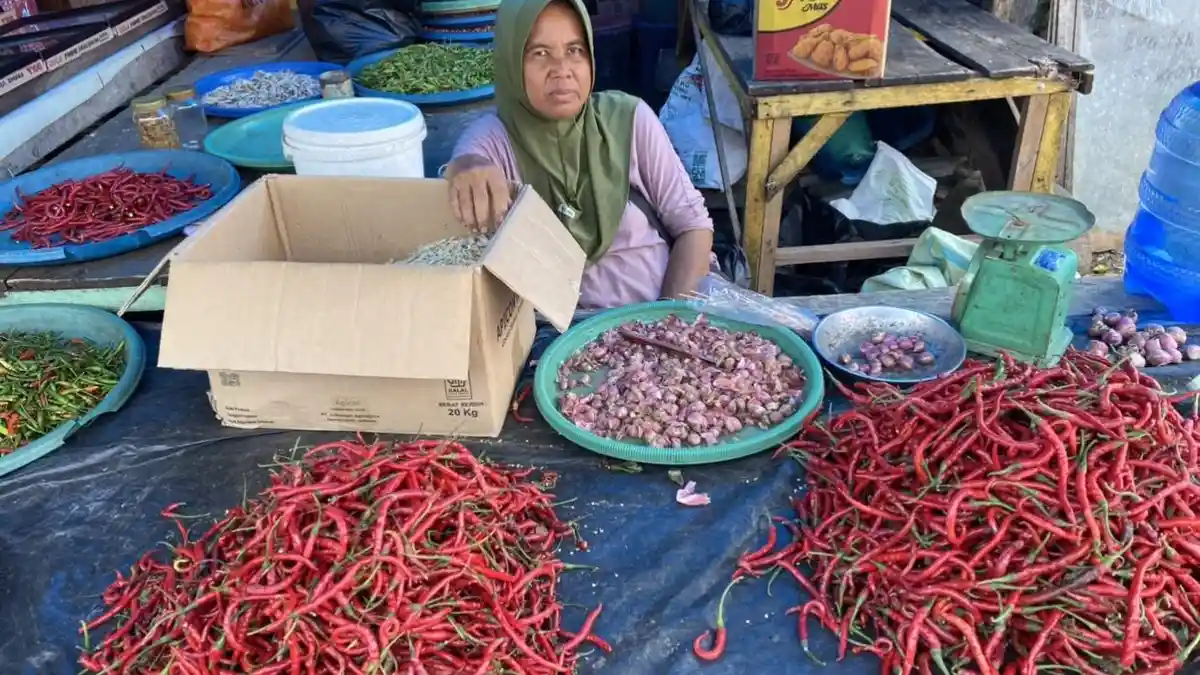 Awal Mei 2025, Harga Cabai Merah Keriting di Bengkulu Selatan Naik, Update Harga Cabai Terbaru
