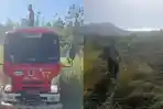 Petugas-BPBD-Aceh-Besar-melakukan-upaya-pemadaman-terhadap-1-hektare-lahan-yang-terbakar.jpg