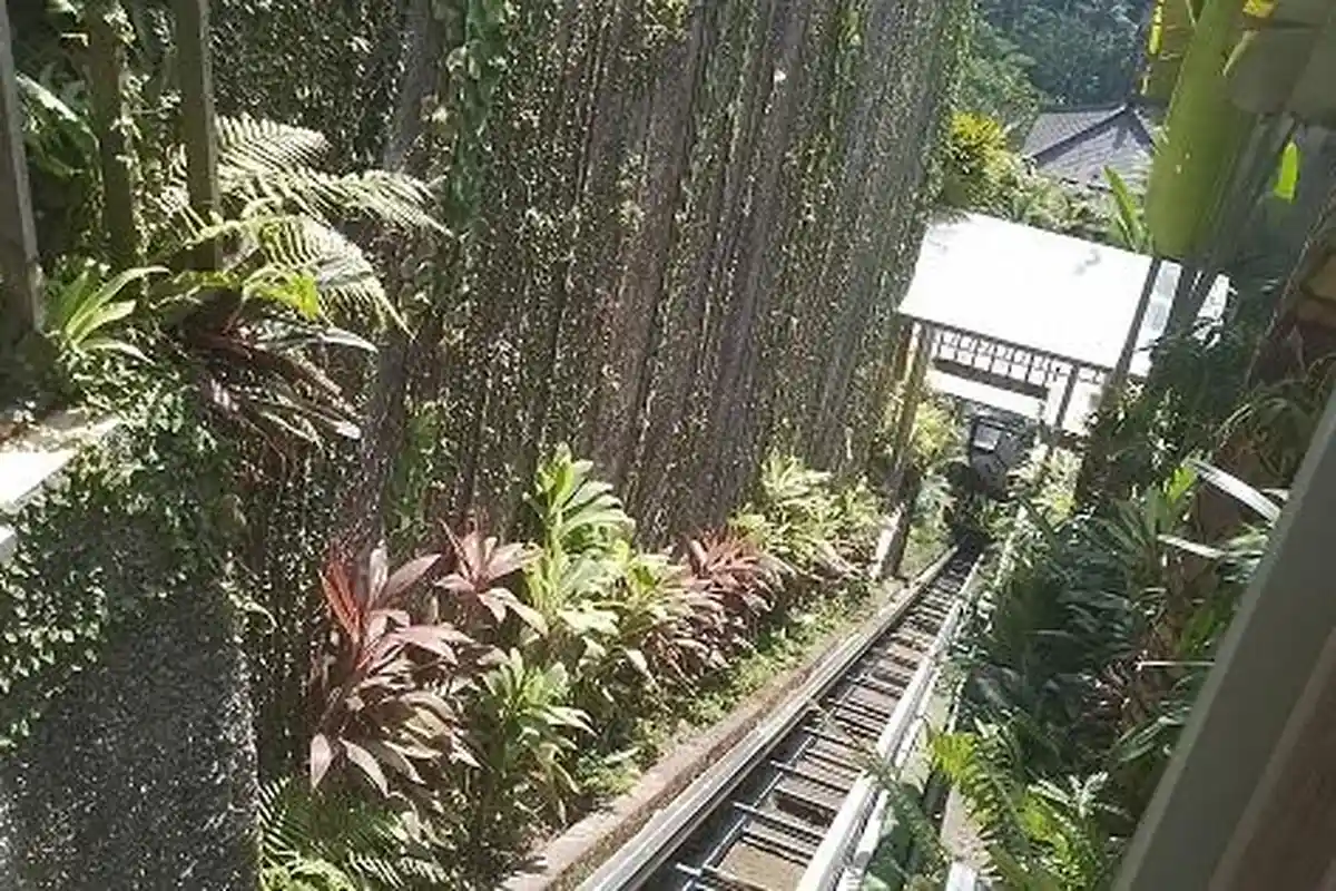 Breaking News! Tragis Kecelakaan Tali Lift Putus di Ubud Tewaskan 5 Pegawai, Simak Beritanya!