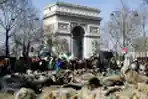 Pawai Ribuan Domba Memenuhi Jalanan Paris