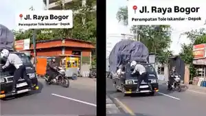PENYEBAB-Sopir-L300-Nekat-Ngebut-Bawa-Petugas-Dishub-Gelantungan-di-Mobil-Pengemudi-Lain-Mendukung.jpg