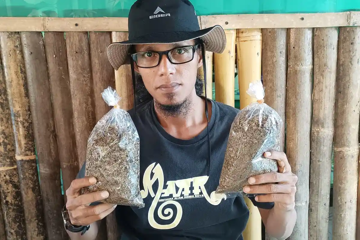 Intip Cara Pembuatan Teh Mangrove Jaruju, Minuman Herbal yang Diklaim Mampu Bunuh Sel Kanker