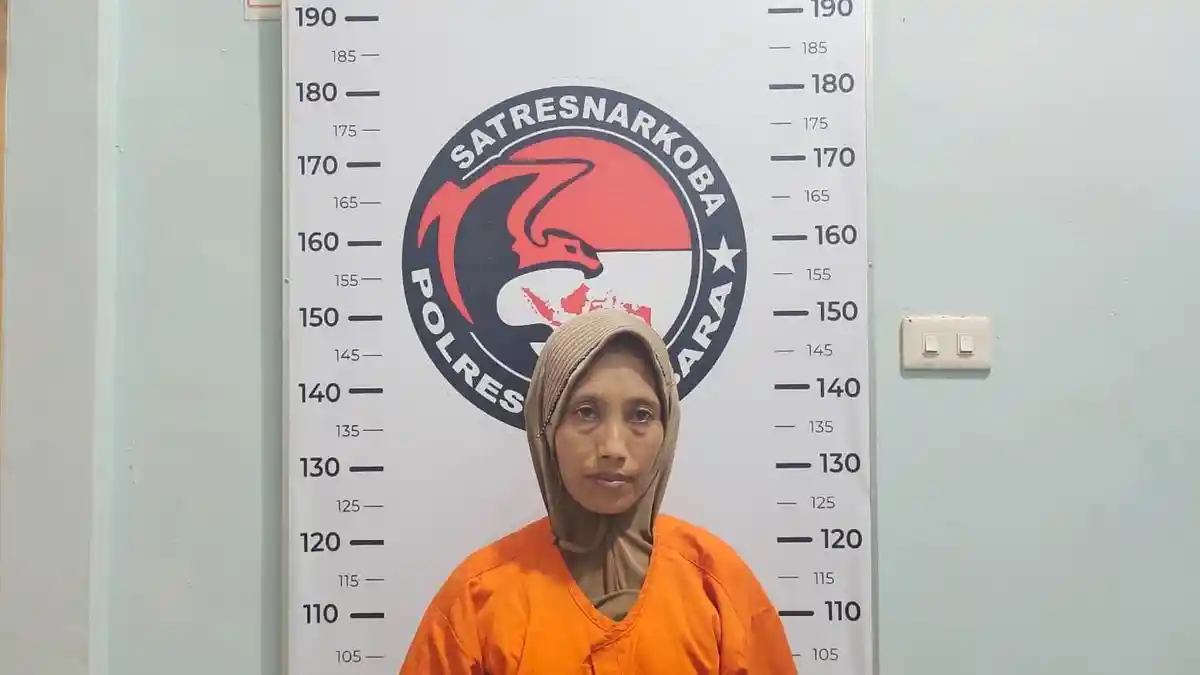 Kasat Narkoba Polres Batubara Tangkap Ratu Narkoba Ria Rini, Meresahkan Warga Desa Petatal