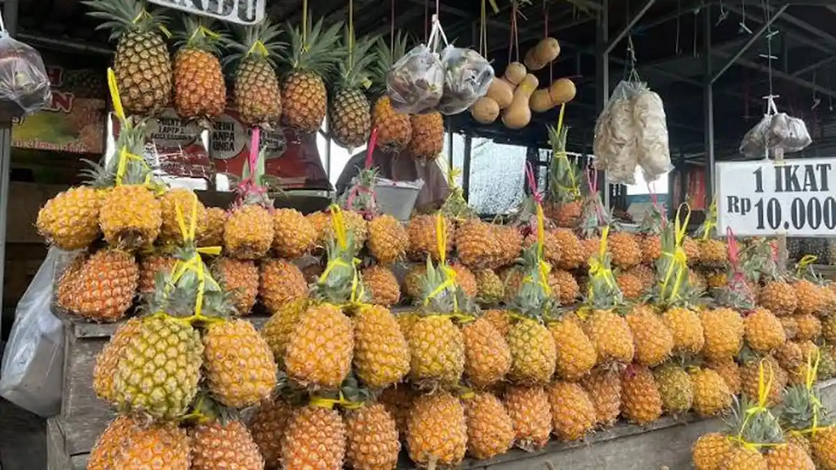 Plesir ke Gunung Kelud di Kediri, Oleh-olehnya Buah Nanas