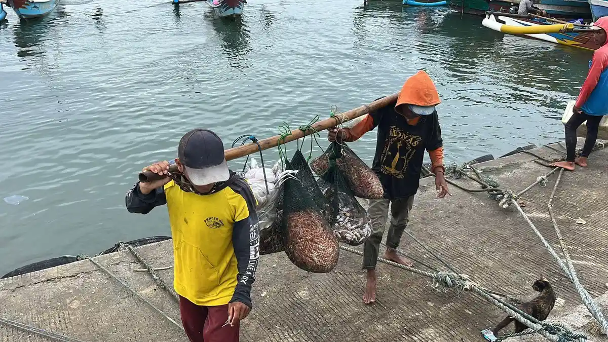 Harapan Baru Nelayan Pangandaran: Tangkapan Ikan Mulai Melimpah di Awal ...