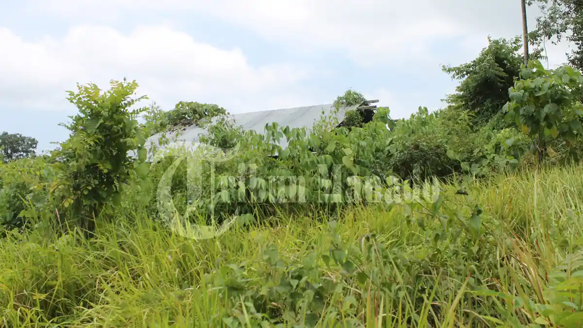 Aco Temukan Bungkusan Plastik, Saat Dibuka Isinya Bikin Geger Satu Kampung