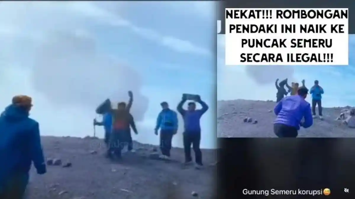 Pendakian Gunung Semeru Ditutup, Rombongan Pendaki Nekat Muncak, TNBTS Bertindak