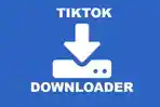 LINK-TikTok-Downloader-SSSTikTok-Download-Video-TikTok-MP4-No-Watermark-dan-Convert-MP3-Gratis.jpg