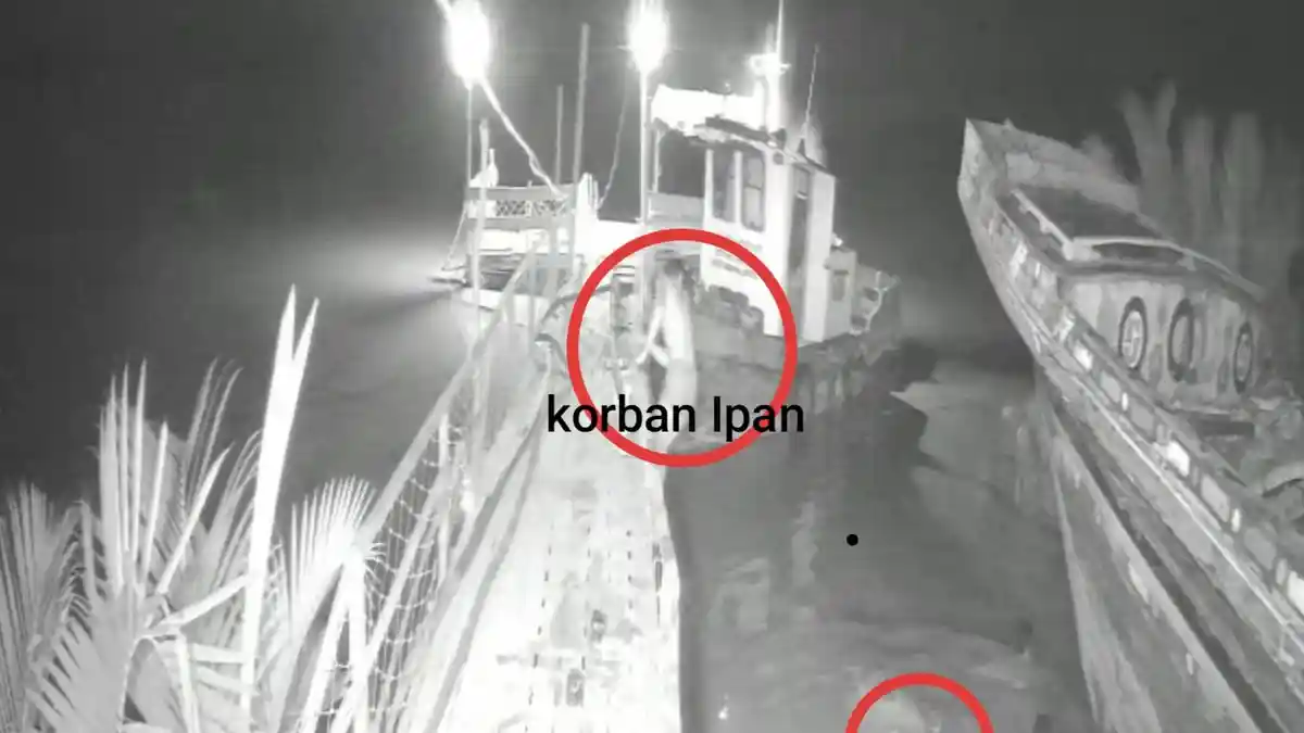 Rekaman CCTV, Pria di Banyuasin Diduga Diterkam Buaya, Hilang Saat Lompat ke Sungai, Perbaiki Jukung - Tribunsumsel.com