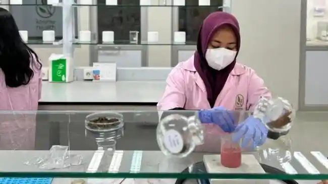 Bangkitkan Kejayaan Herbal, BRIN Dukung Transformasi Jamu Tradisional