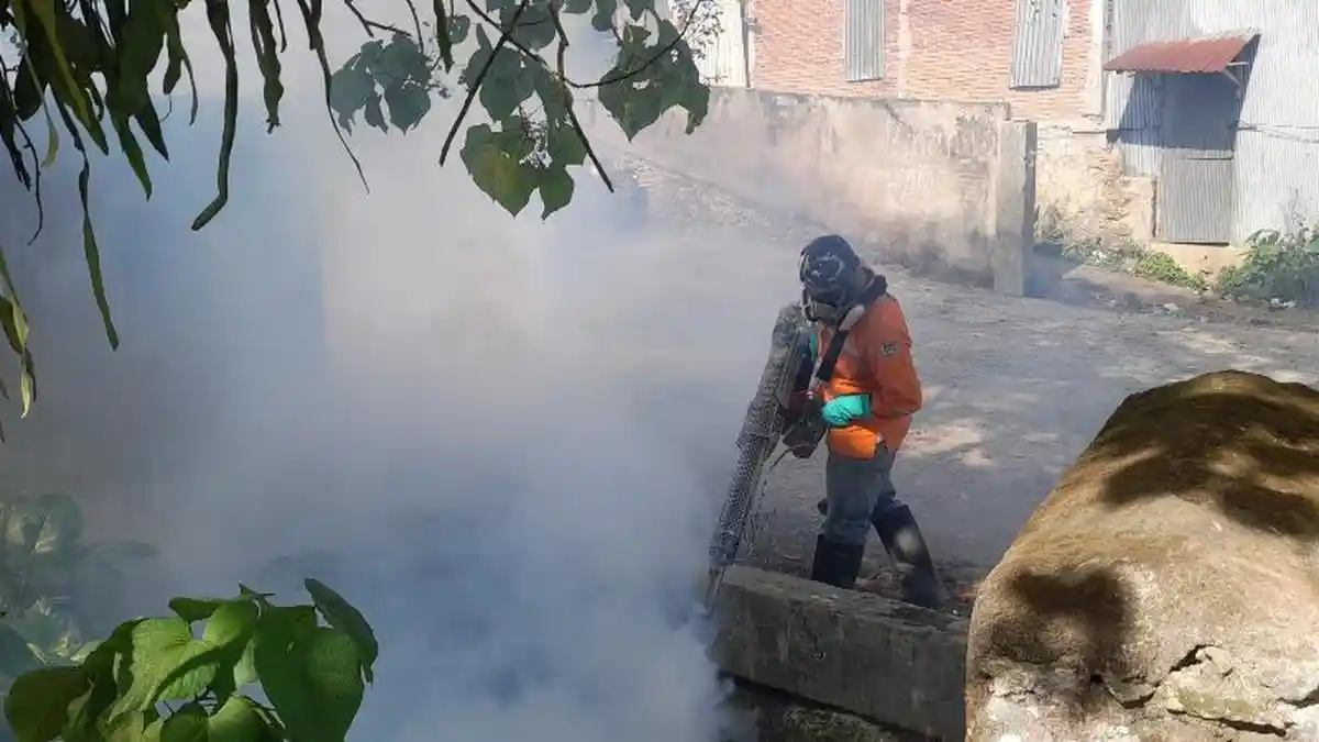 Ada Anak Meninggal karena DBD, Petugas Dinkes Mamuju Fogging Pemukiman Warga di Jl Soekarno Hatta