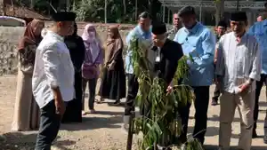 maruf-amin-tanam-pohon-durian.jpg