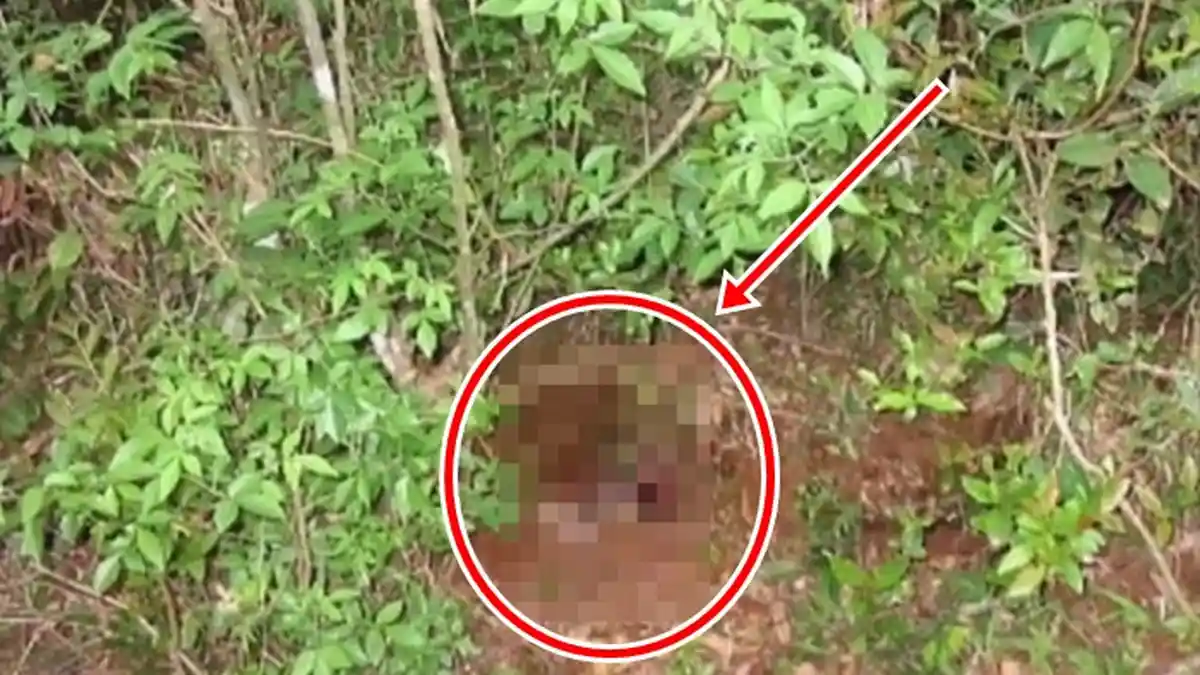 Masuk Dalam Hutan, Pria Ini Temukan Sosok Tak Terduga, Ini Yang Terjadi Kemudian