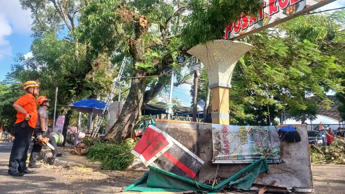Waspada Pohon Tumbang di Tasikmalaya, Cheka Lakukan Antisipasi Ini