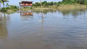 Banjir-Rendam-Padi-Milik-Warga.jpg