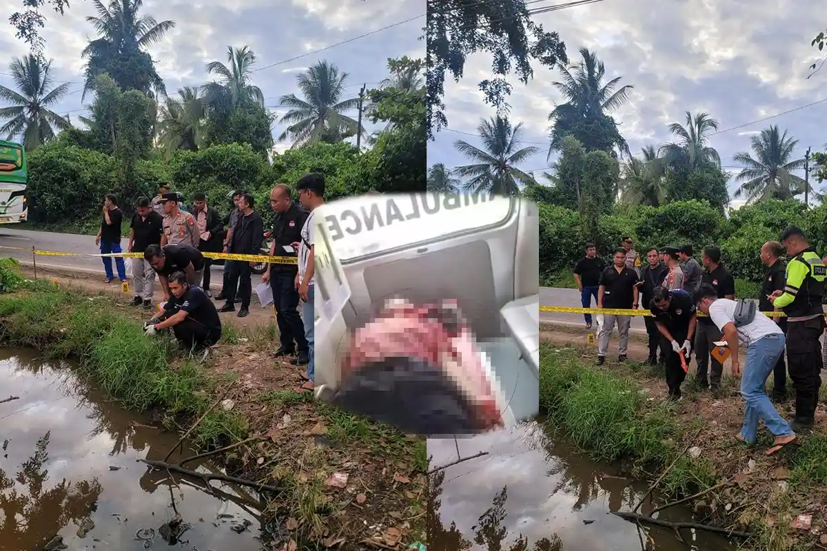 KRONOLOGI Lengkap Penganiayaan Brutal Depan SDN 11 Jongkat Mempawah, Lansia Diserang Sampai Tewas