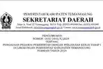 Link-Download-PDF-Rincian-374-Formasi-PPPK-2024-Pemkab-Temanggung-sscasnbkngoid.jpg