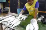 Pedagang Bandeng Imlek Rawa Belong Mulai Diserbu Konsumen