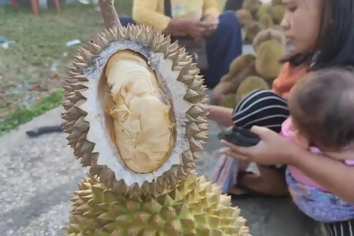 Buah Durian Banjiri Sudut Kota Sarolangun Jambi, 3 Durian Dijual Rp 50.000