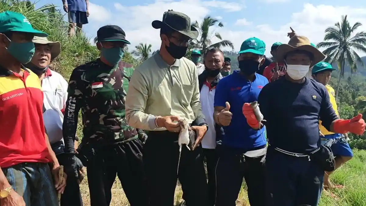 Diawali Matur Piuning, Prosesi Maboros Mulai Dilakukan Subak Badung dalam Rangkaian Ngaben Bikul