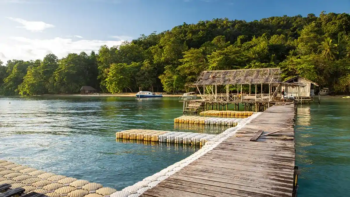 Info Wisata Papua Barat: Ini Cara Pergi ke Raja Ampat dengan Kisaran Harga Tiketnya