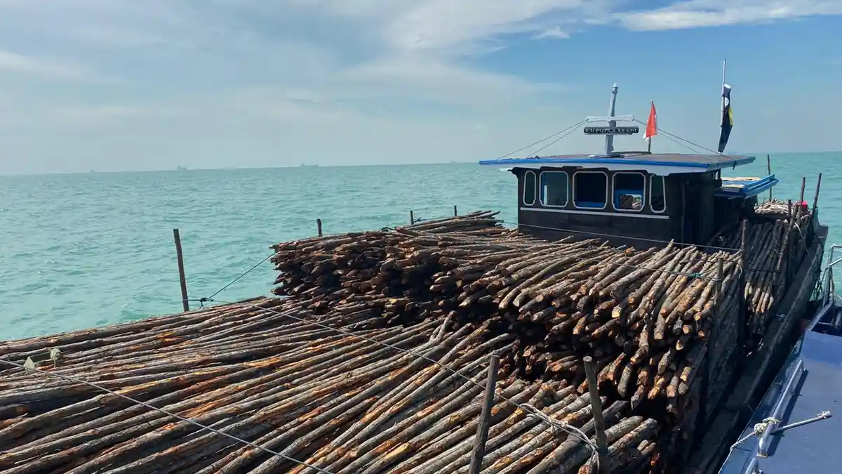 Bea Cukai Kepulauan Riau Amankan Kapal Pengangkut Kayu Ilegal