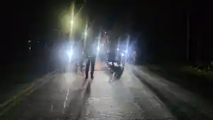 Kecelakaan-Maut-di-Duduksampeyan-Gresik-Renggut-Nyawa-Pasutri-Anak-Selamat.jpg
