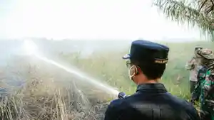 Asap-yang-mengepung-Kabupaten-Rokan-Hilir-Rohil-akibat-kebakaran-lahan.jpg