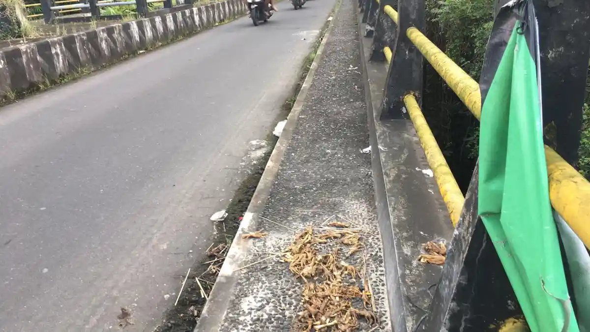 Jembatan Klasik di Gianyar Bali Jadi TPA liar, Pemkab Minta Kesadaran Pembuang