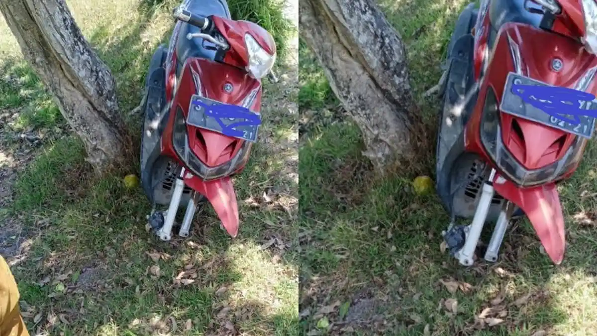Viral Unggahan Netizen Jombang Velg Motornya Dicuri Saat Cari Rumput di Sawah