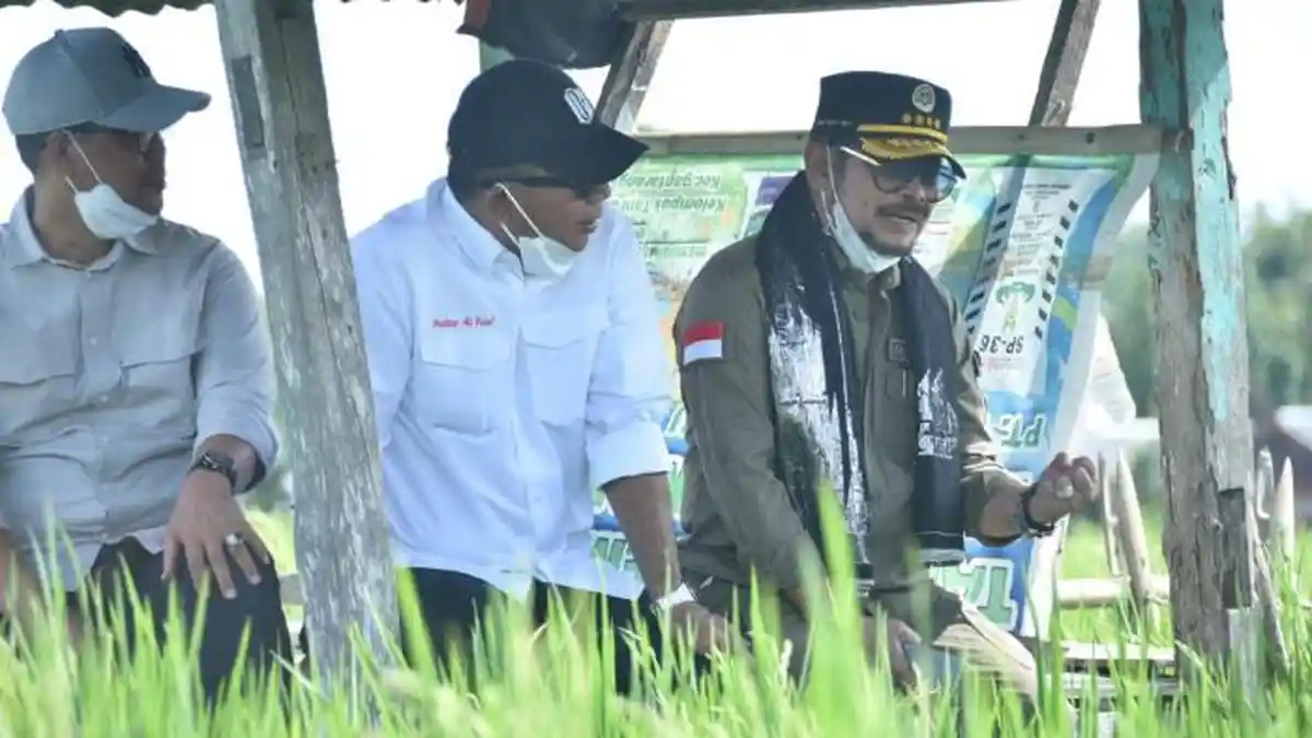 Kunjungi Bulukumba, Menteri Pertanian Dorong Budidaya Padi IP400
