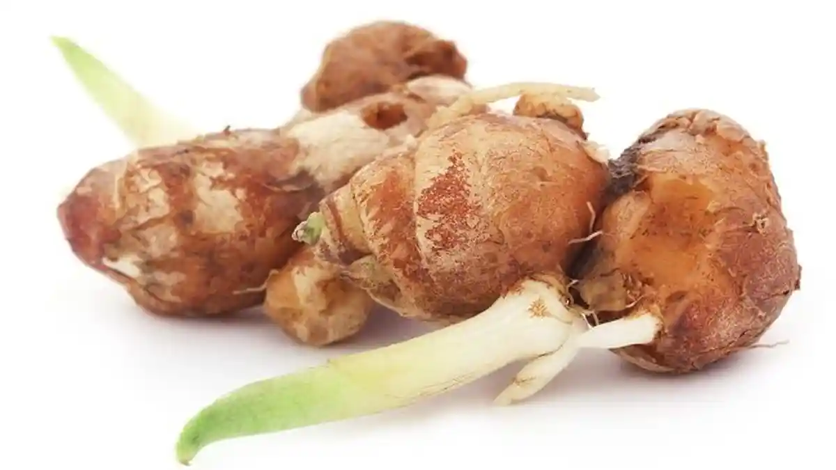 3 Manfaat Kencur dan Resep Mengobati Berbagai Penyakit