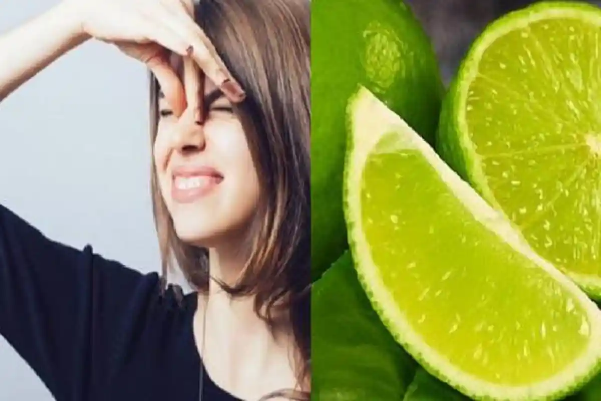 Gegara Istri Kaesang Pangarep Erina Gudono, Bau Ketiak Trending X, Jeruk Nipis Bisa Harumkan Tubuh