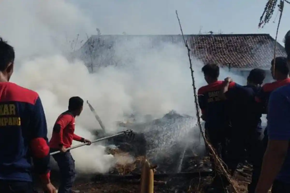 Geger Tiga Kandang Sapi Milik Warga di Sampang Ludes Terbakar, 2 Sapi Mati Terpanggang