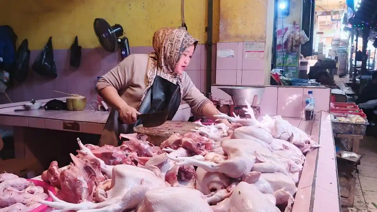Harga Daging Ayam dan Telur Mulai Naik, Pemerintah Siapkan Operasi Pasar Bersubsidi