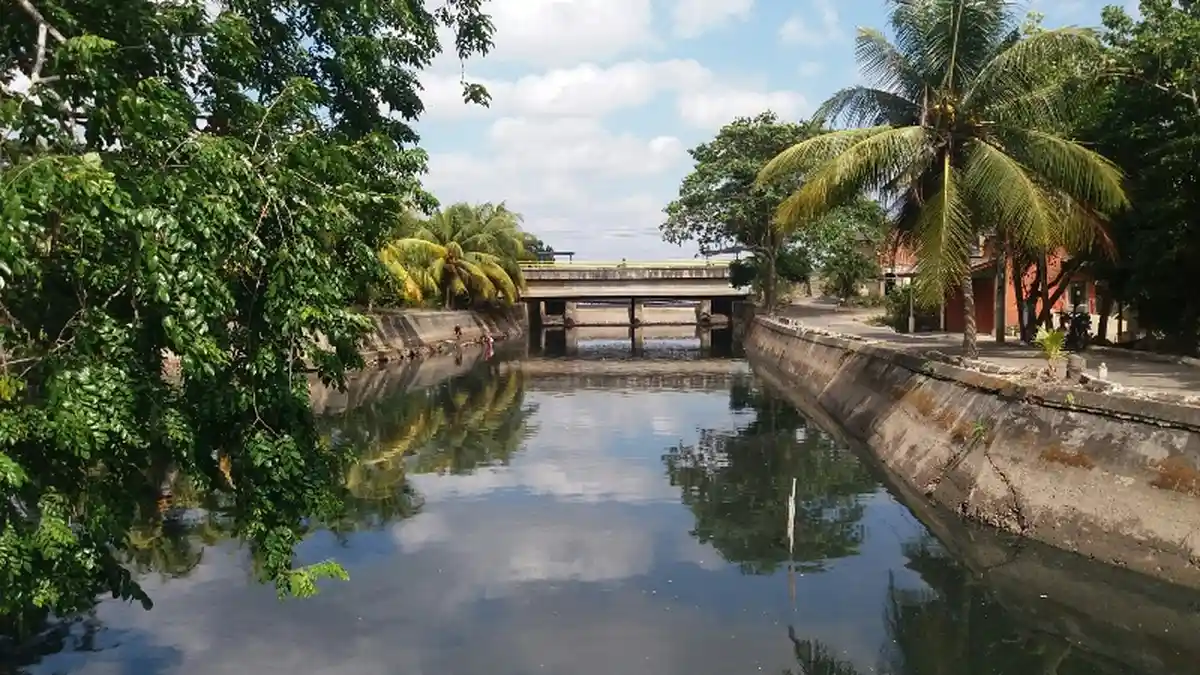 Aliran Sungai Rangkui Menghitam dan Berbau, Ikan dan Udang Muncul ke Permukaan - aliran-sungai-rangkui-pangkalpinang-bdfhdhdfssf.jpg