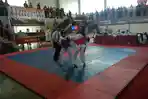 105 Atlet Taekwondo di Kaltim Ikuti Ujian Kenaikan Tingkat
