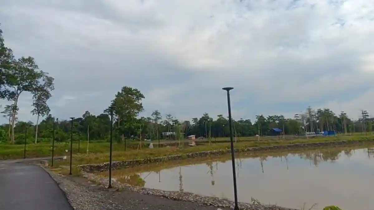 Prakiraan Cuaca Bulungan 7 Januari 2026, Tanjung Selor Cerah Berawan Sepanjang Hari