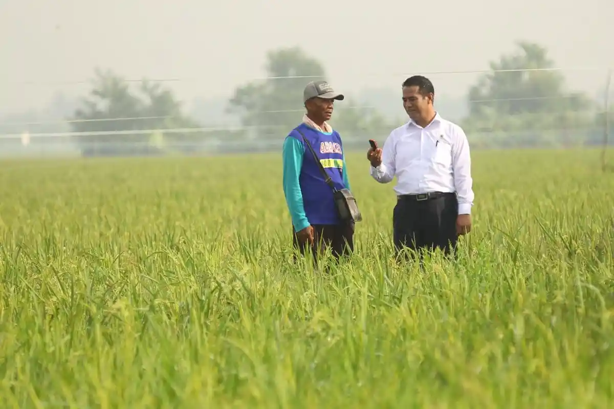 Meski Anggaran Dipangkas Rp 12 Triliun, Produksi Dan Ekspor Pertanian Melonjak