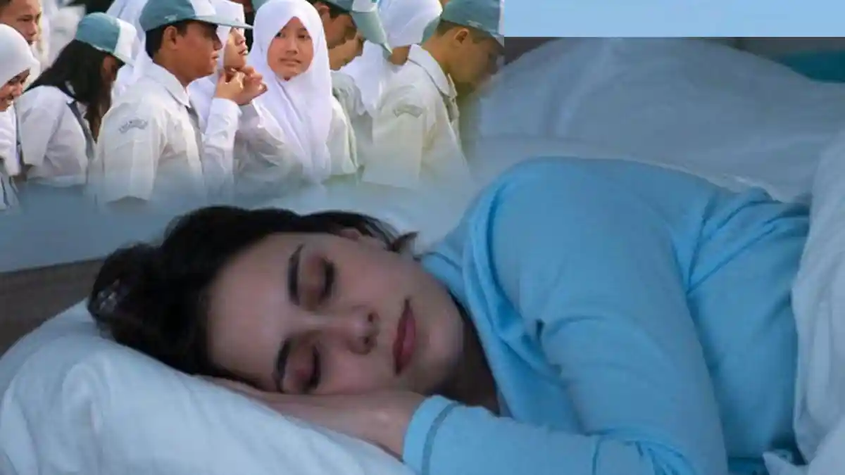 Arti Mimpi Sekolah Menurut Primbon Jawa, Bisa Jadi Pertanda Baik, Ada Juga Kemugkinan Pengkhianatan