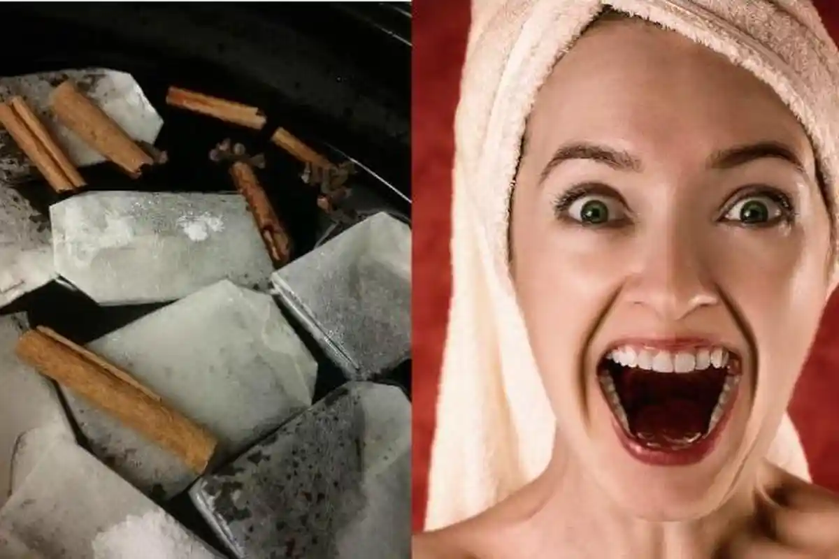 Kantong Teh dengan Ragam Manfaatnya, Rugi Bila Tahu dan Membuangnya