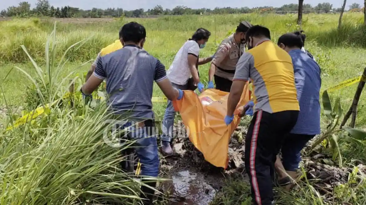 Teka-teki Penemuan Jasad Pria Tanpa Identitas di Sawah Desa Sidoharjo, Warga Tak ada yang Kenal