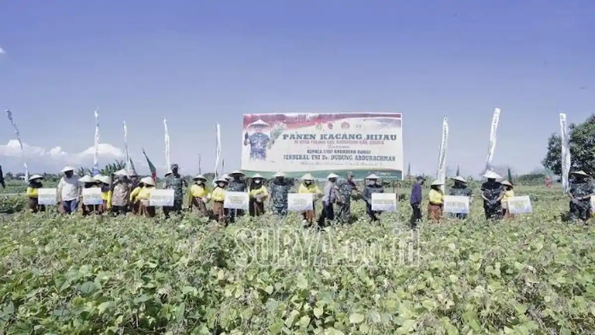Panen Raya Kacang Hijau dan Tanam Jagung di Kabupaten Gresik, KASAD : Produksinya Luar Biasa