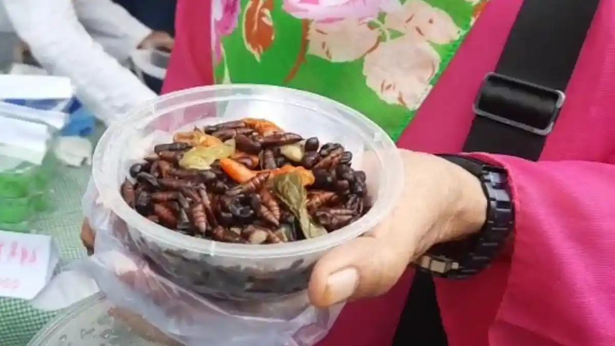 Ungker, Kuliner Tradisional Esktrem Khas Blora yang Hanya Bisa Didapat saat Akhir Tahun