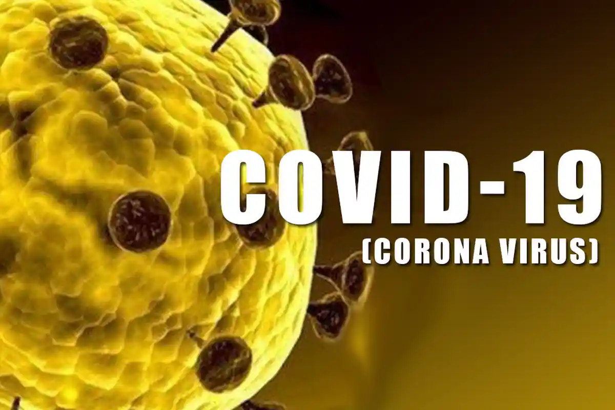 Kasus Covid-19 di Indonesia Bertambah Dua, Total Positif Sudah Enam Orang