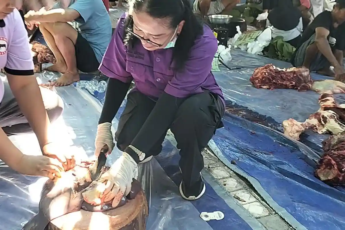 Ini Hasil Pengawasan Pemkab Blora Terhadap Daging Kurban yang Berpotensi Mengandung Cacing Hati