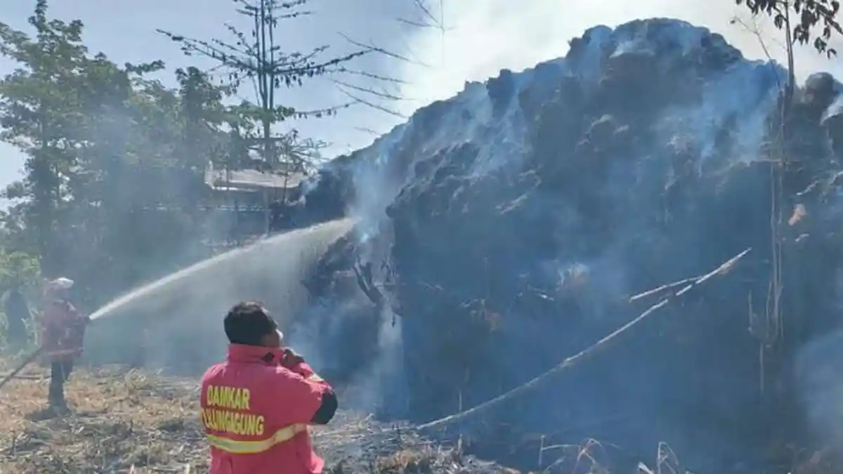 Tumpukan Sisa Pengolahan Sabut Kelapa di Ngunut Tulungagung Kebakaran, Api dari Pembakaran Sampah