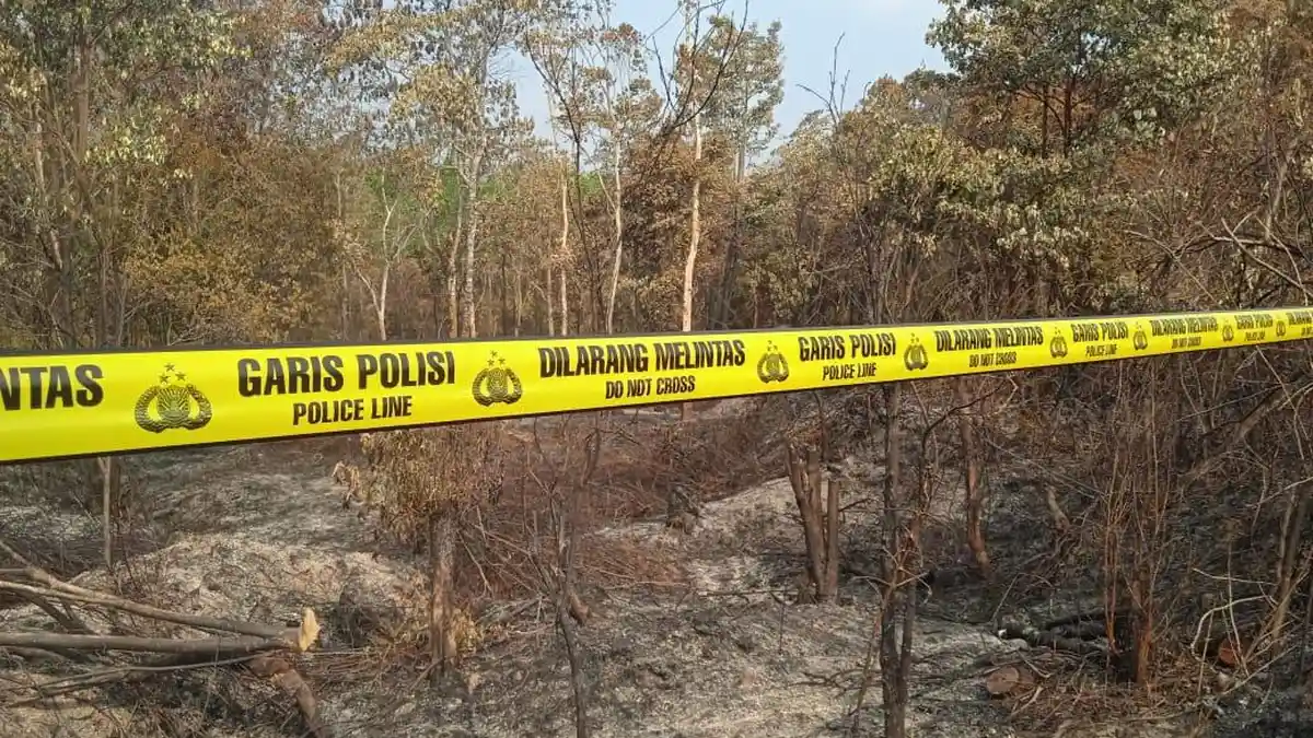 BPBD Catat Ada 2 Titik Hotspot di Kabupaten Batanghari