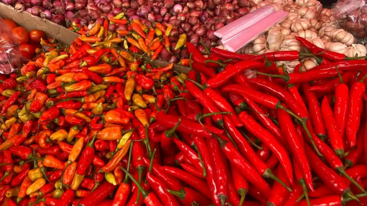 Sepedas Rasanya, Harga Cabai Rawit Sentuh Rp110 Ribu Perkilogram di Bali 